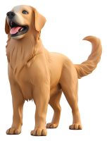 Golden Retriever PNG picture