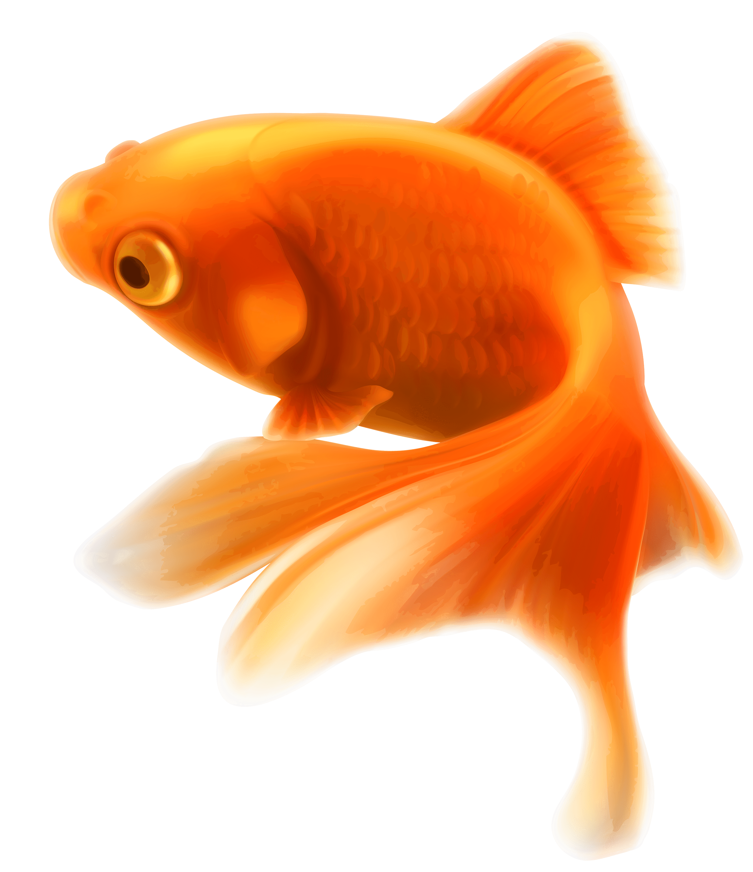 Goldfish PNG