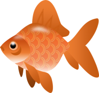 Goldfish PNG
