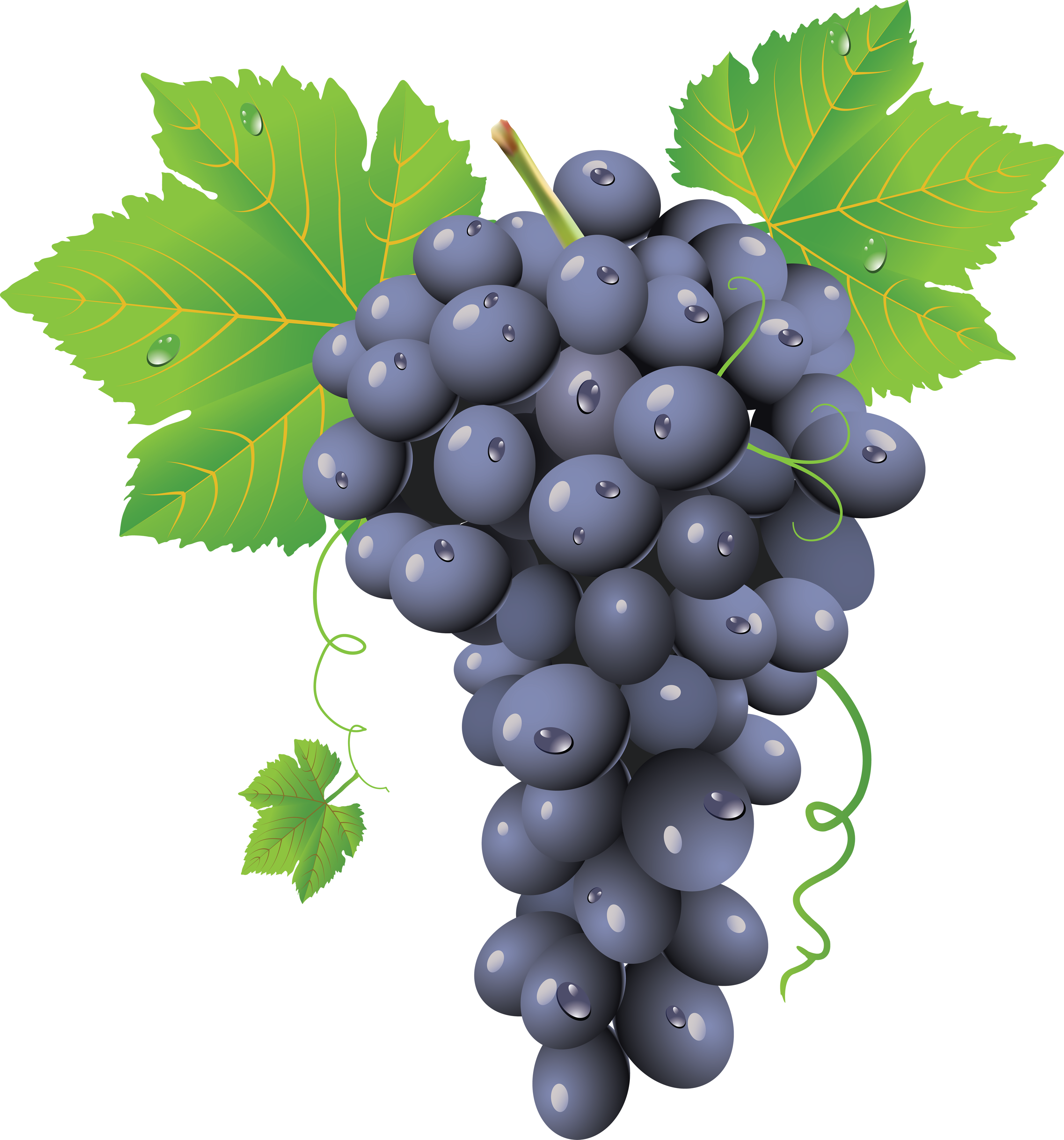 grape png