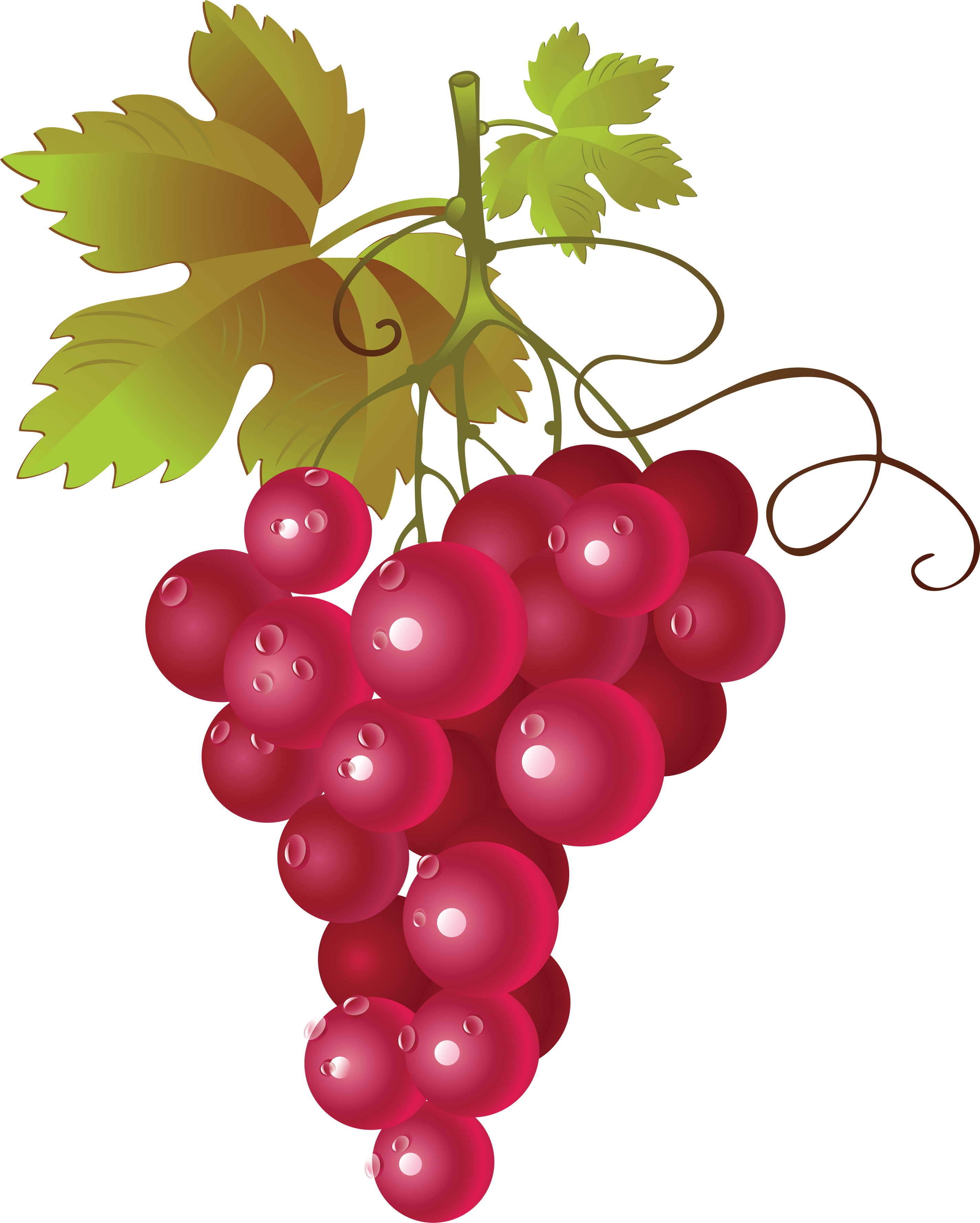 Grape PNG Image