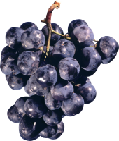 Черный виноград PNG фото