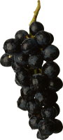 Черный виноград PNG фото