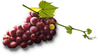 Grape PNG image download, free picture