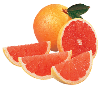 Grapefruit PNG images Download