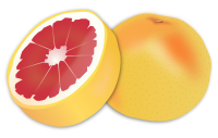 Грейпфрут PNG