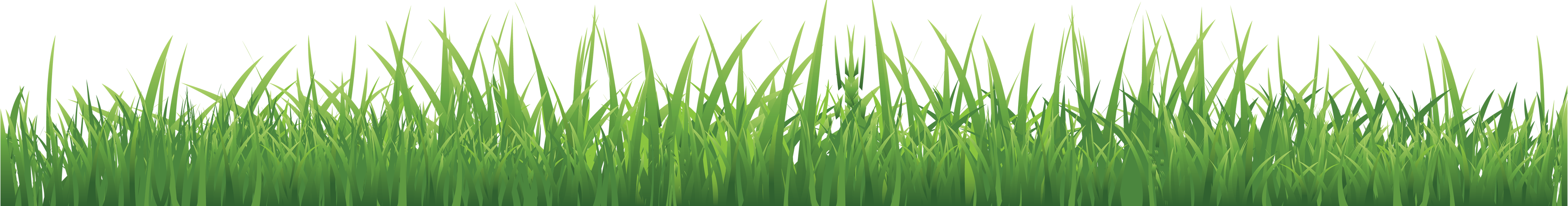 Grass Png Image Green Grass Png Picture