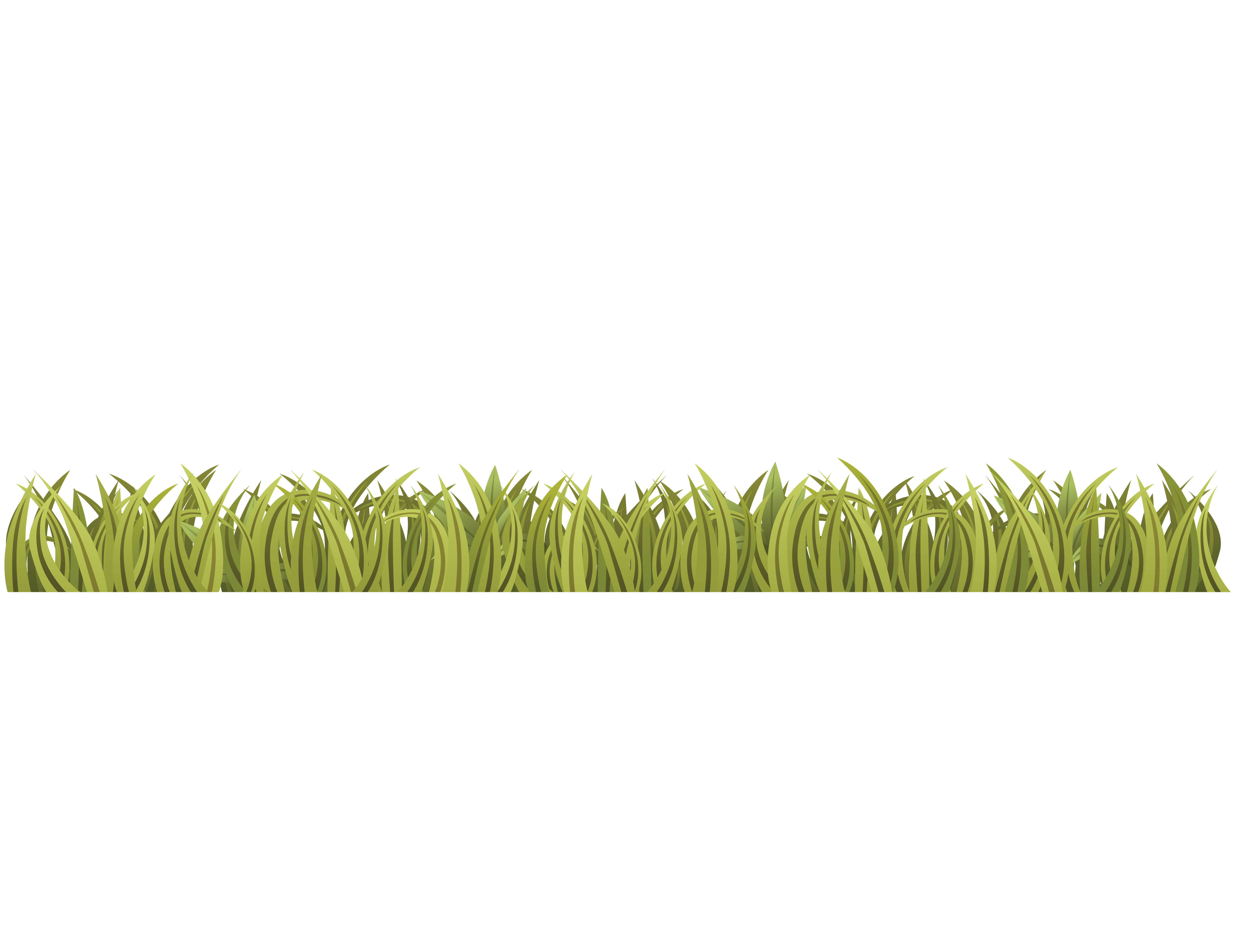 Grass PNG transparent image download, size: 7327x3295px
