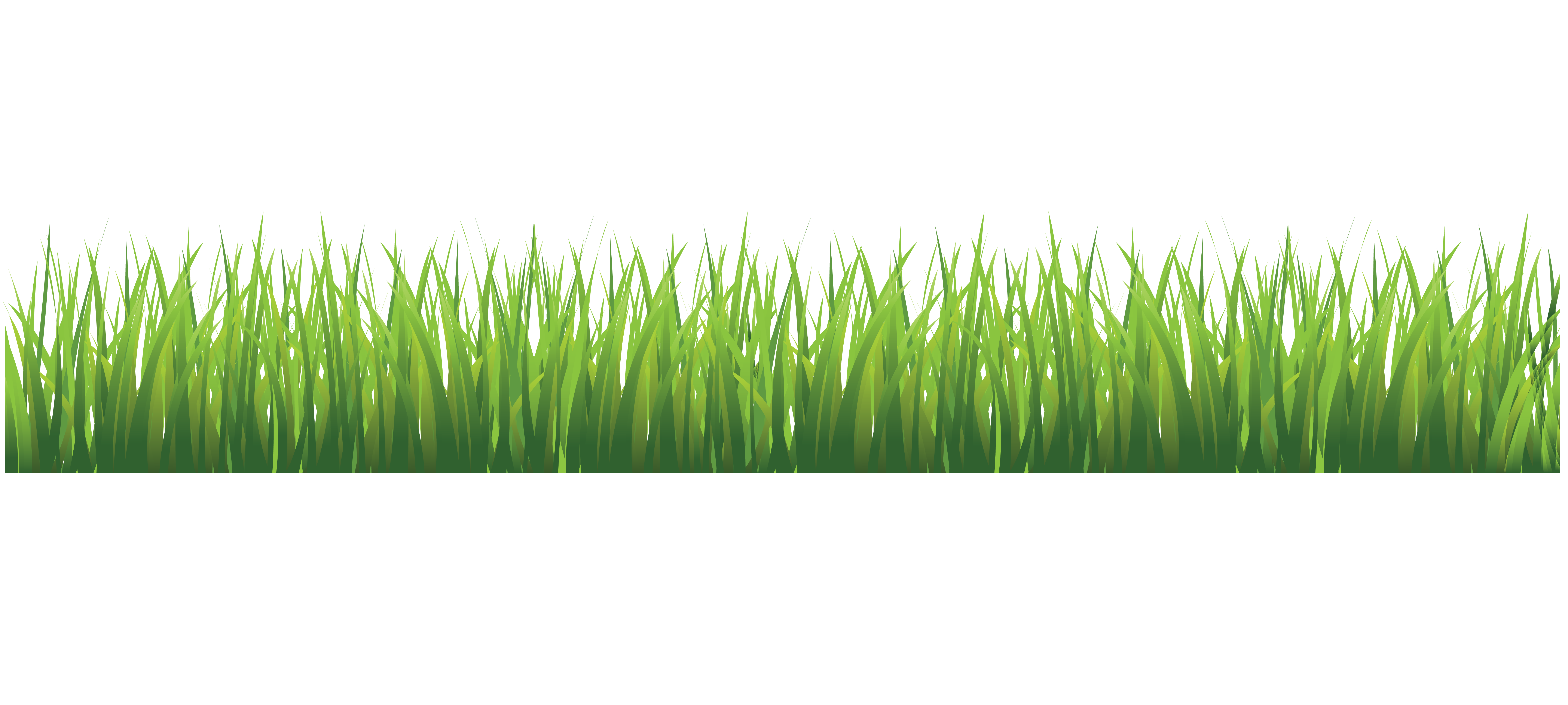 Grass Png Transparent Image Download Size 7327x3295px