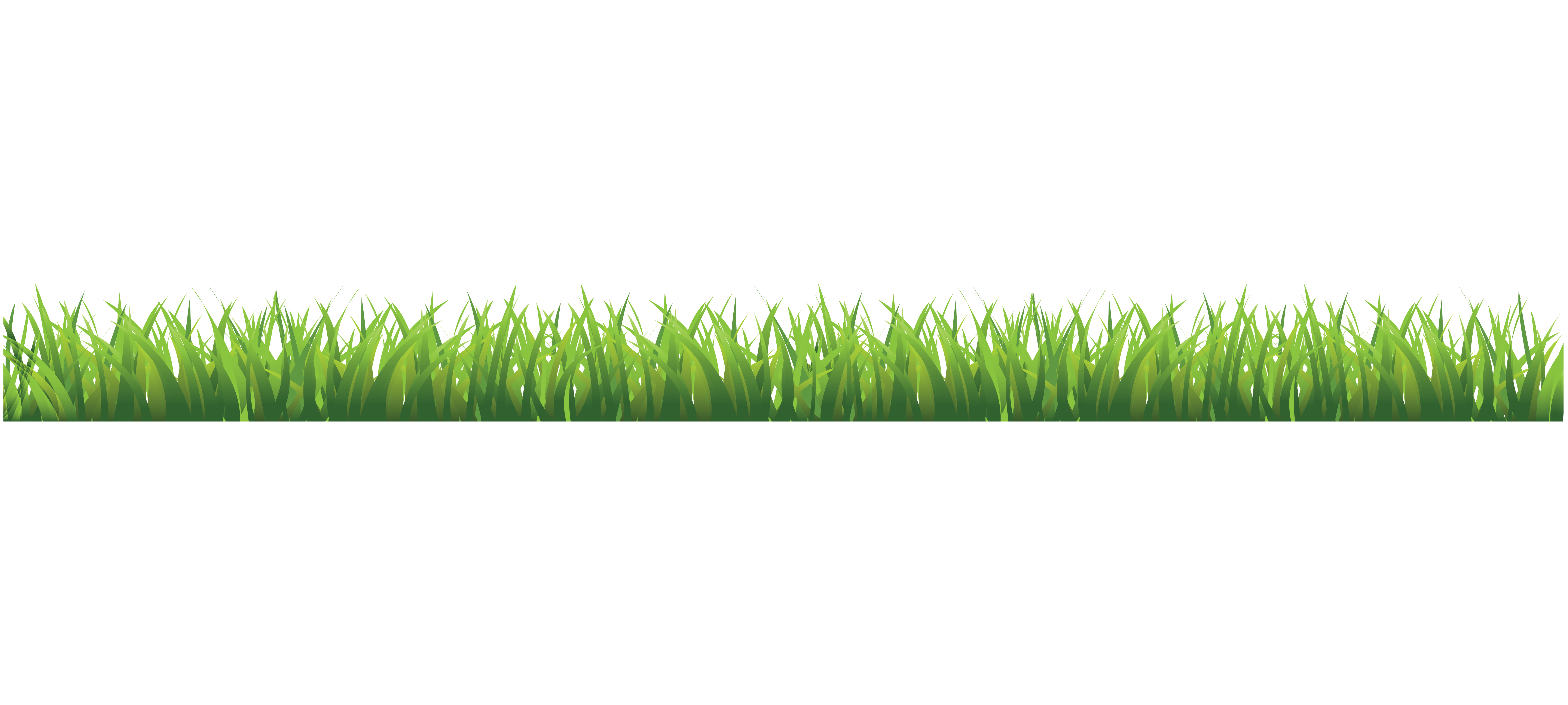 Grass Line Png At Hudson Gooch Blog Grass Line Png At Hudson Gooch Blog