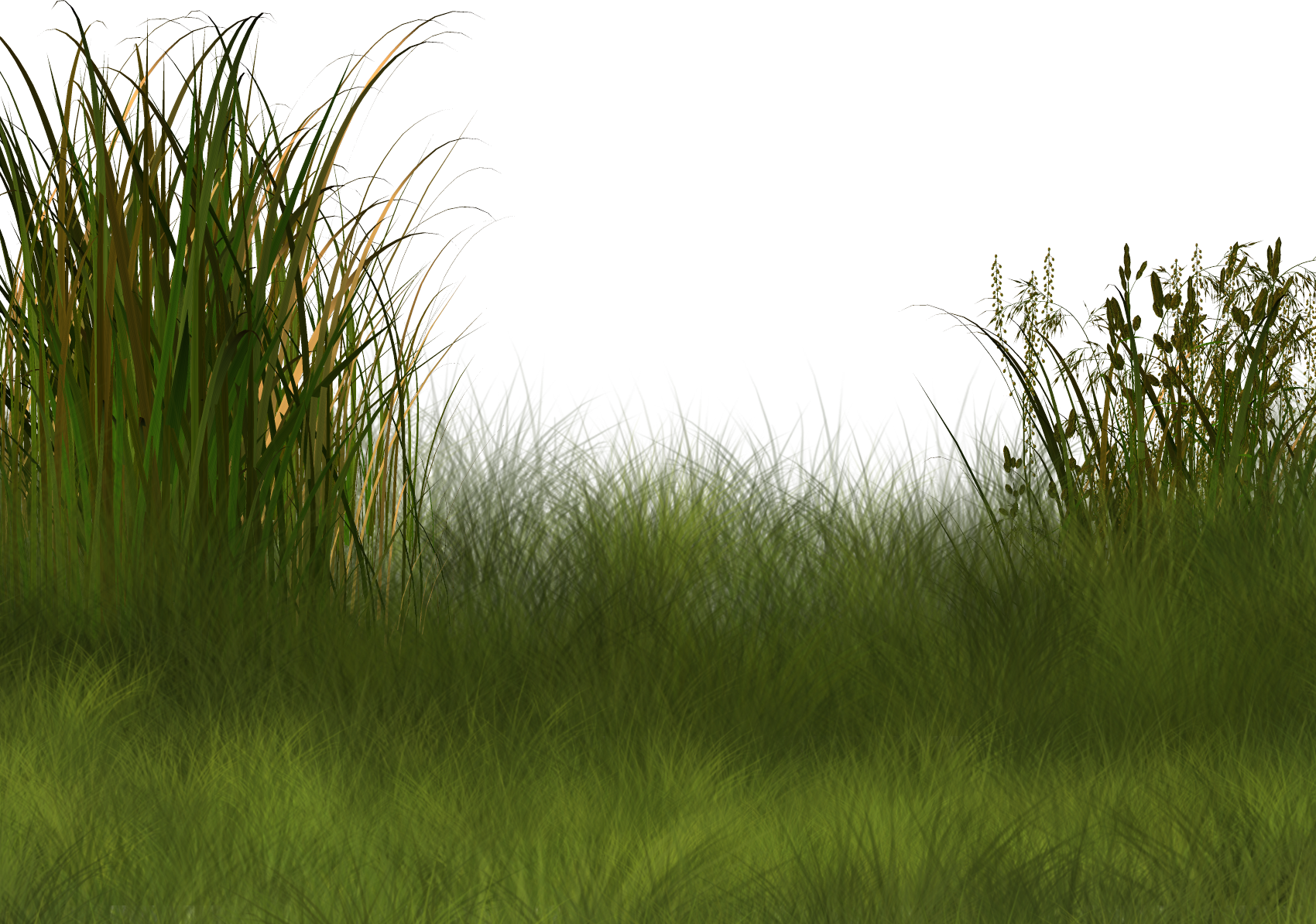 Трава на передний план фотошоп
