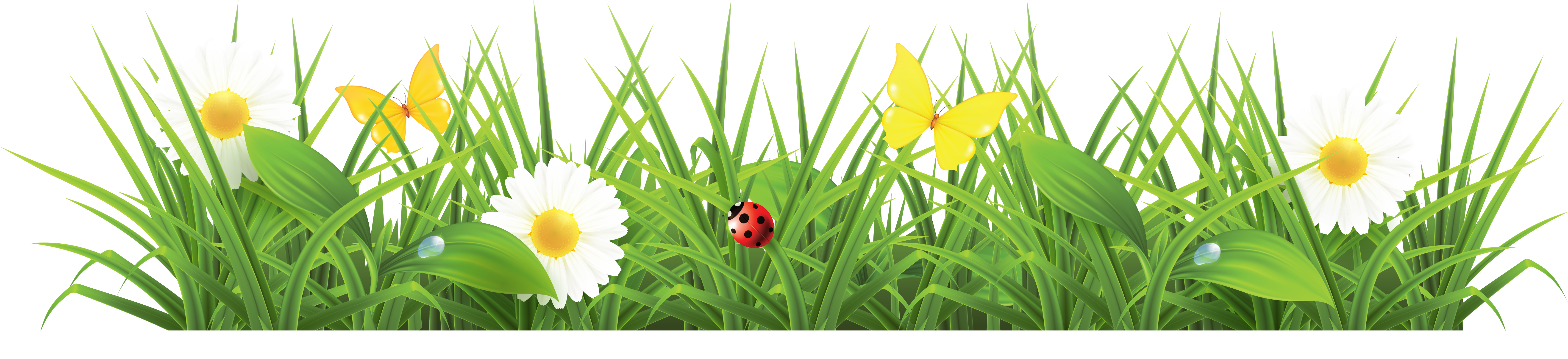 Grass PNG images