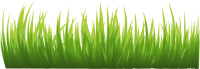 grass png image, green grass PNG picture