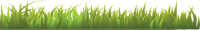 césped verde PNG