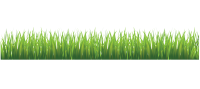 Grass PNG