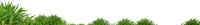 césped verde PNG