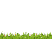 grass png image, green picture
