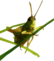 Grasshopper PNG