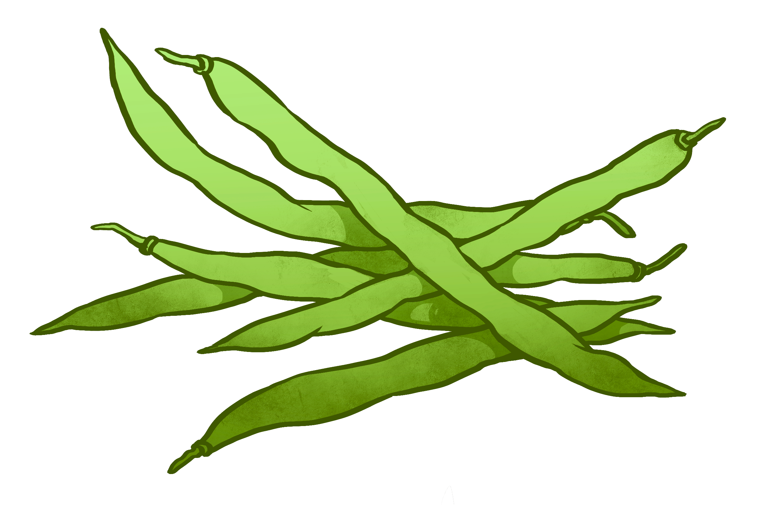 Green Bean PNG Transparent Image Download Size 2528x1663px