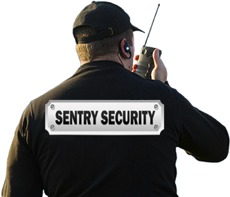 Guard, security PNG