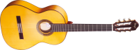 Acoustic guitar PNG image