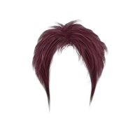 Hair PNG images, women and men hairs PNG images download 