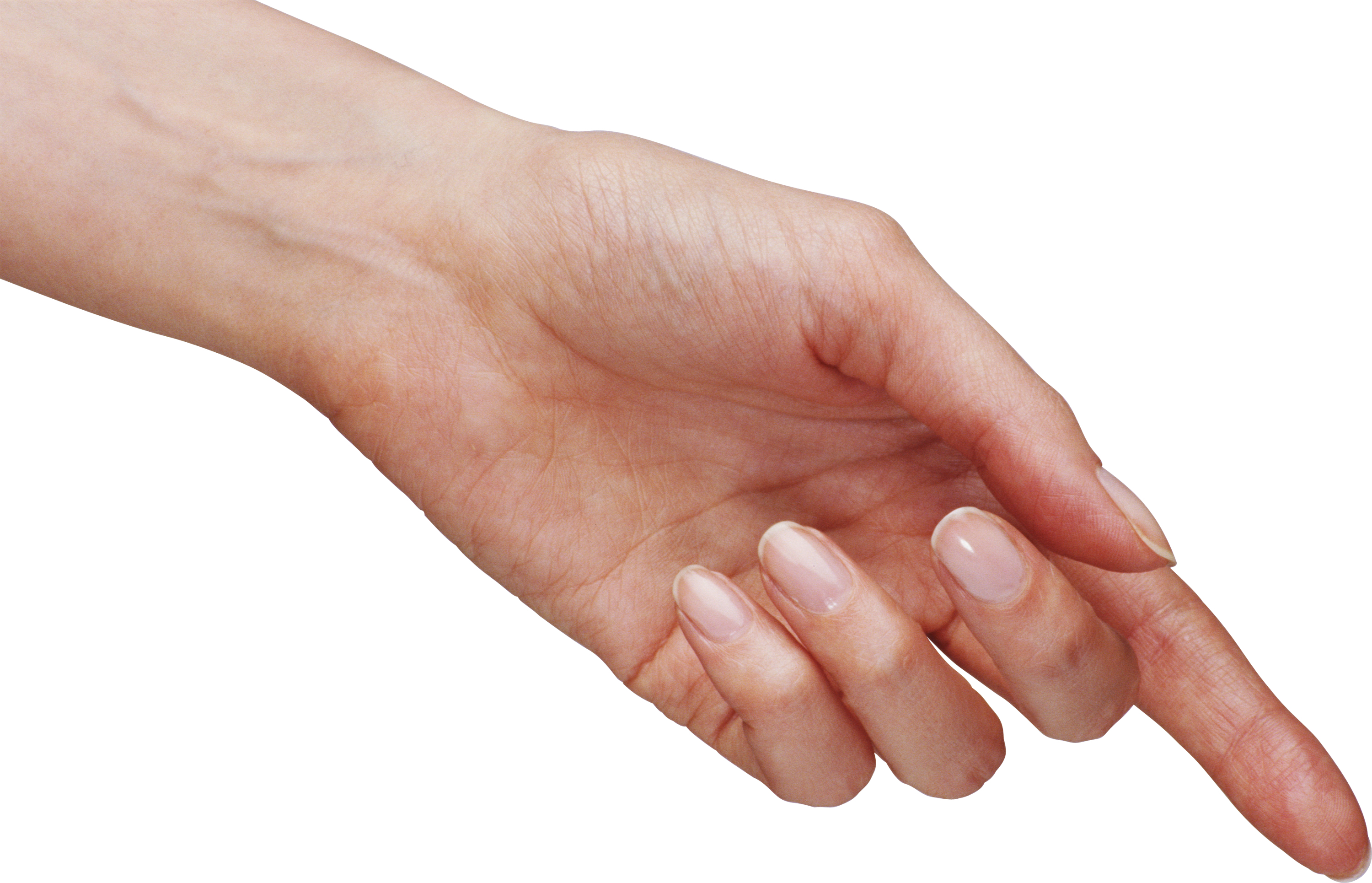 Hands PNG, hand image free