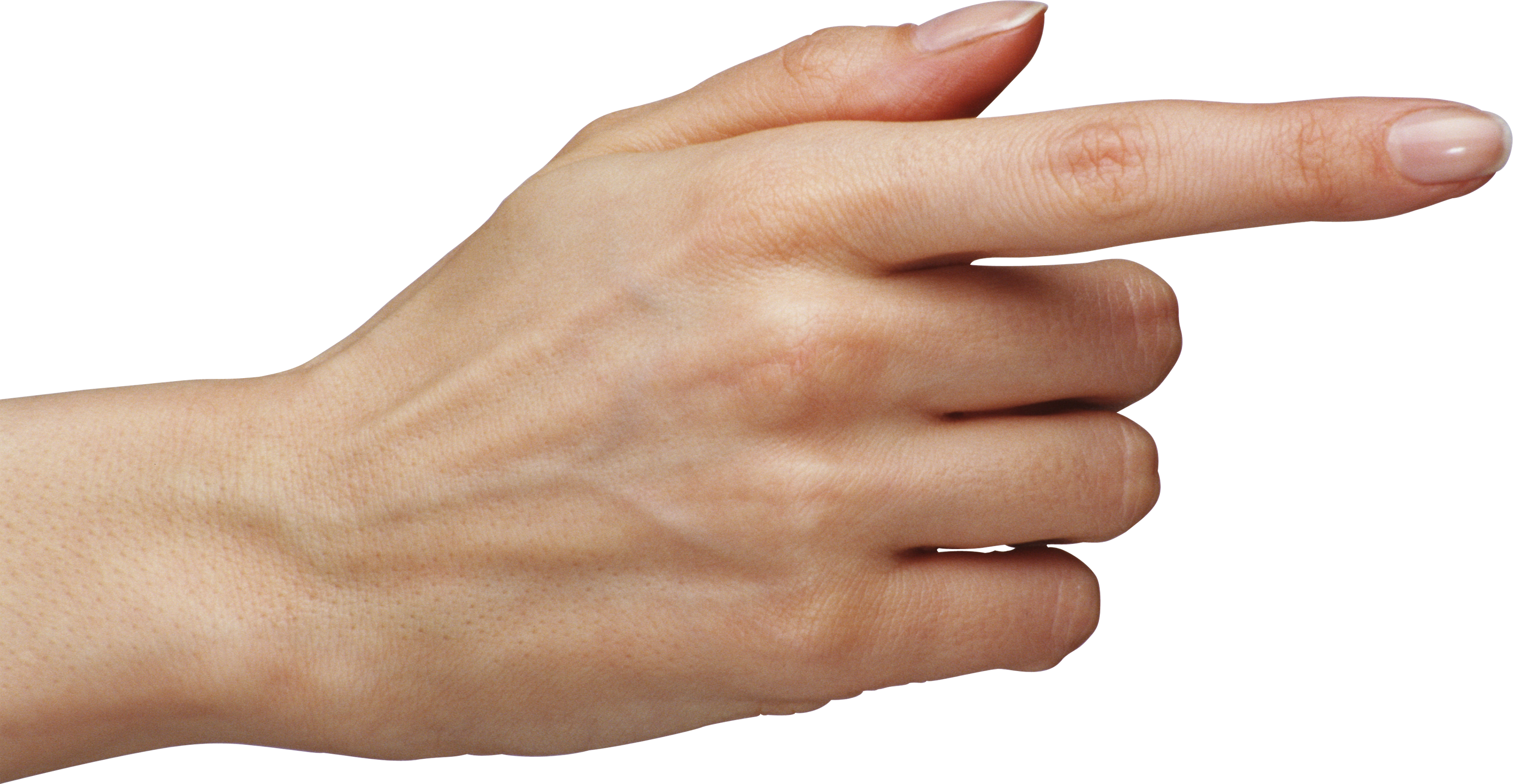 Hands PNG, hand image free