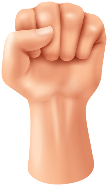 Fist hand PNG