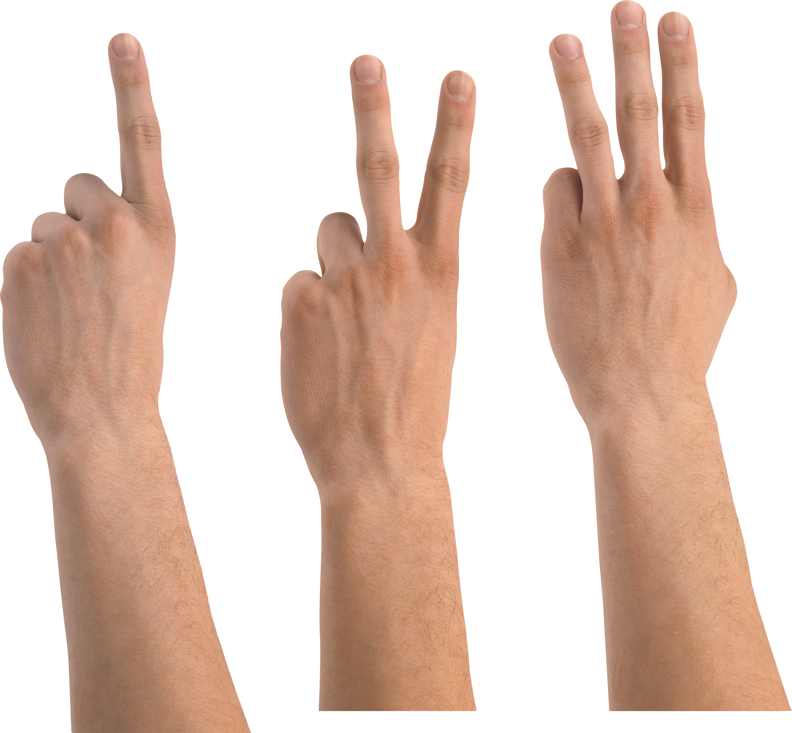 Руки 45 см. Рука для фотошопа. Мужская рука прямая. Вытянутая мужская рука. Мужская рука вид сверху.