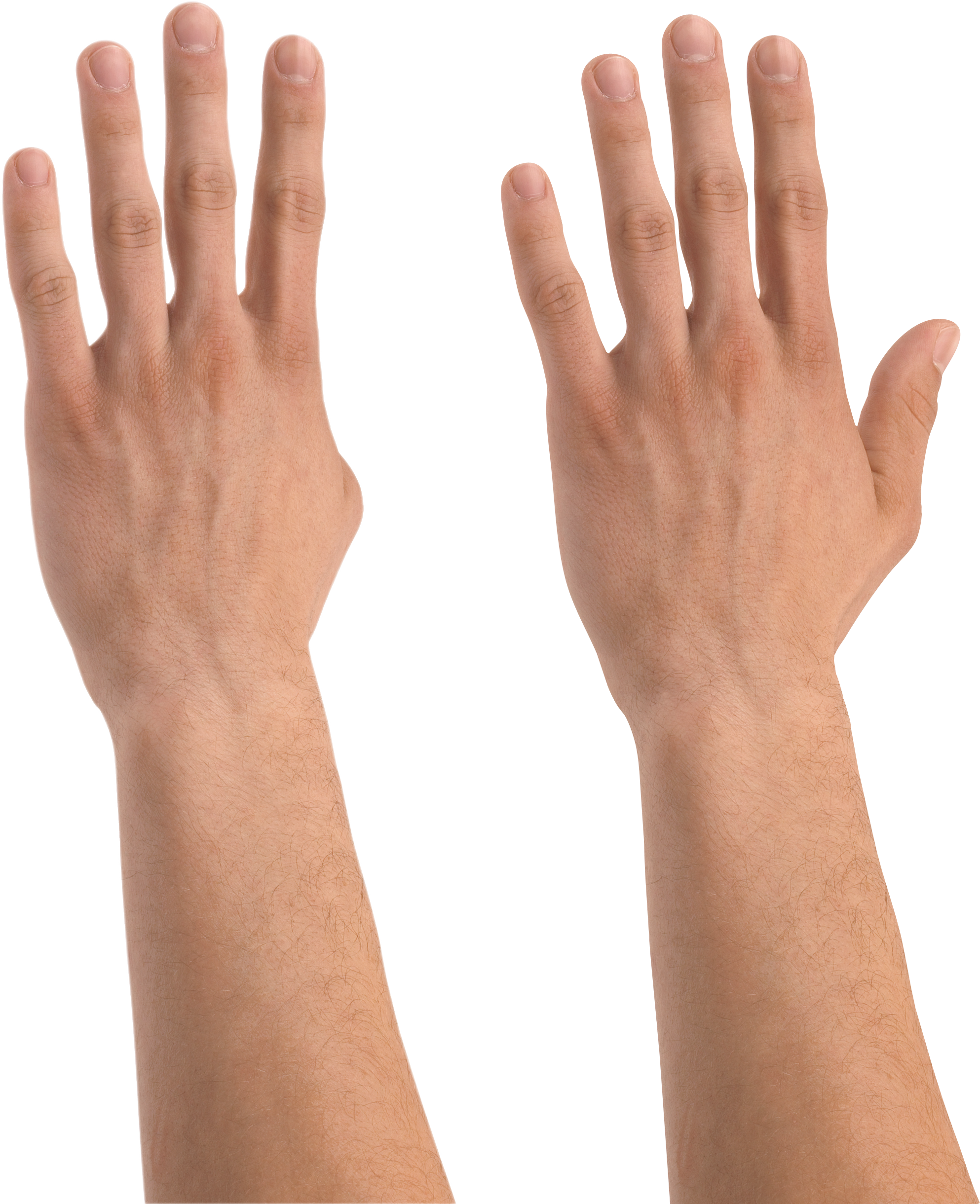 Фото руки пнг. Рука. Мужская рука для фотошопа. Женская кисть руки. Две кисти рук.