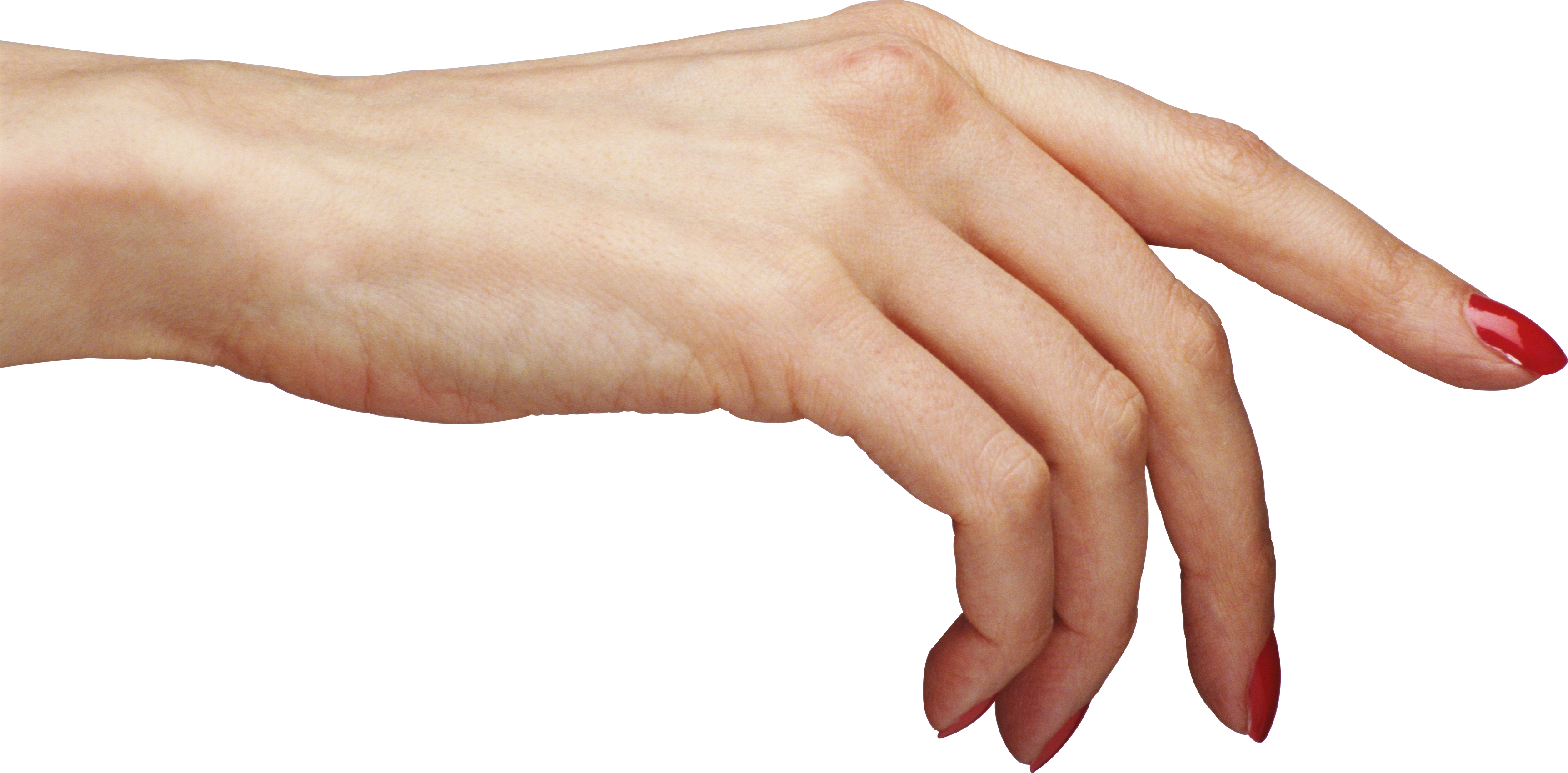 Рука 22 см. Кисть руки. Женская рука. Женская кисть руки. Человеческая рука.