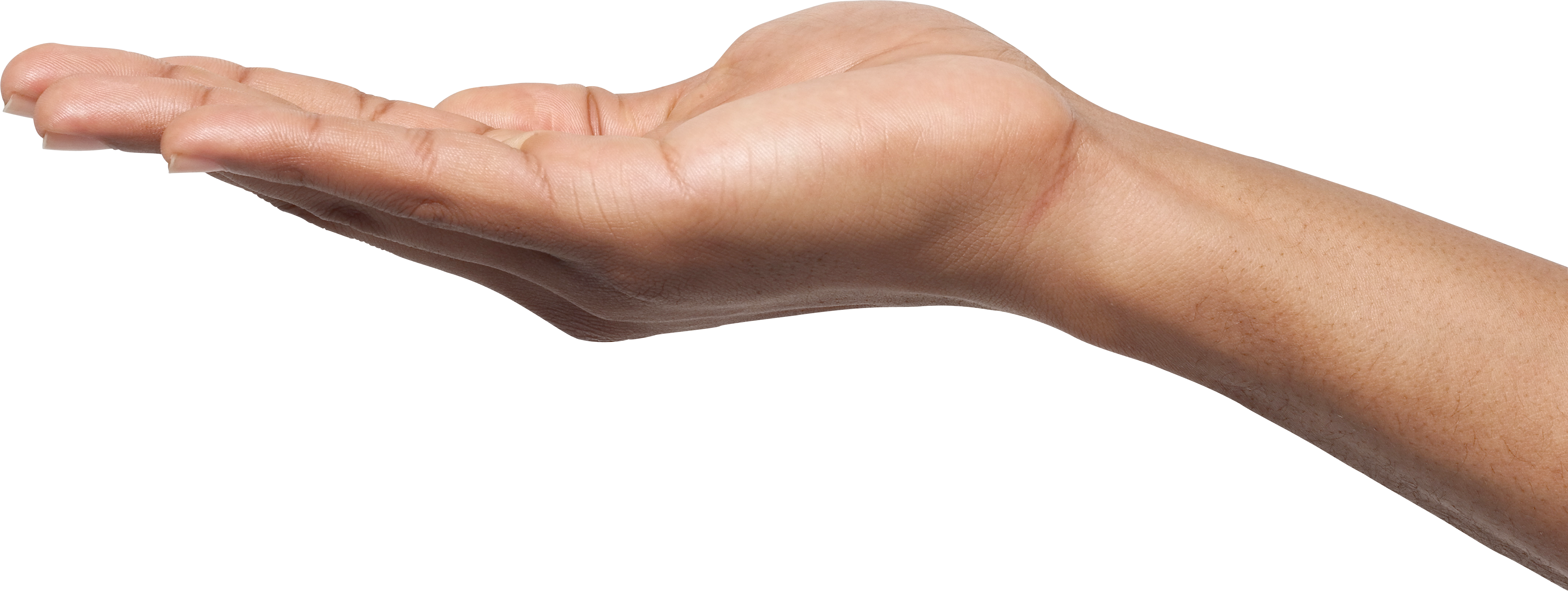 Ладонь на прозрачном фоне. Человеческая рука. Рука человека. Рука без фона. Рука 18 см