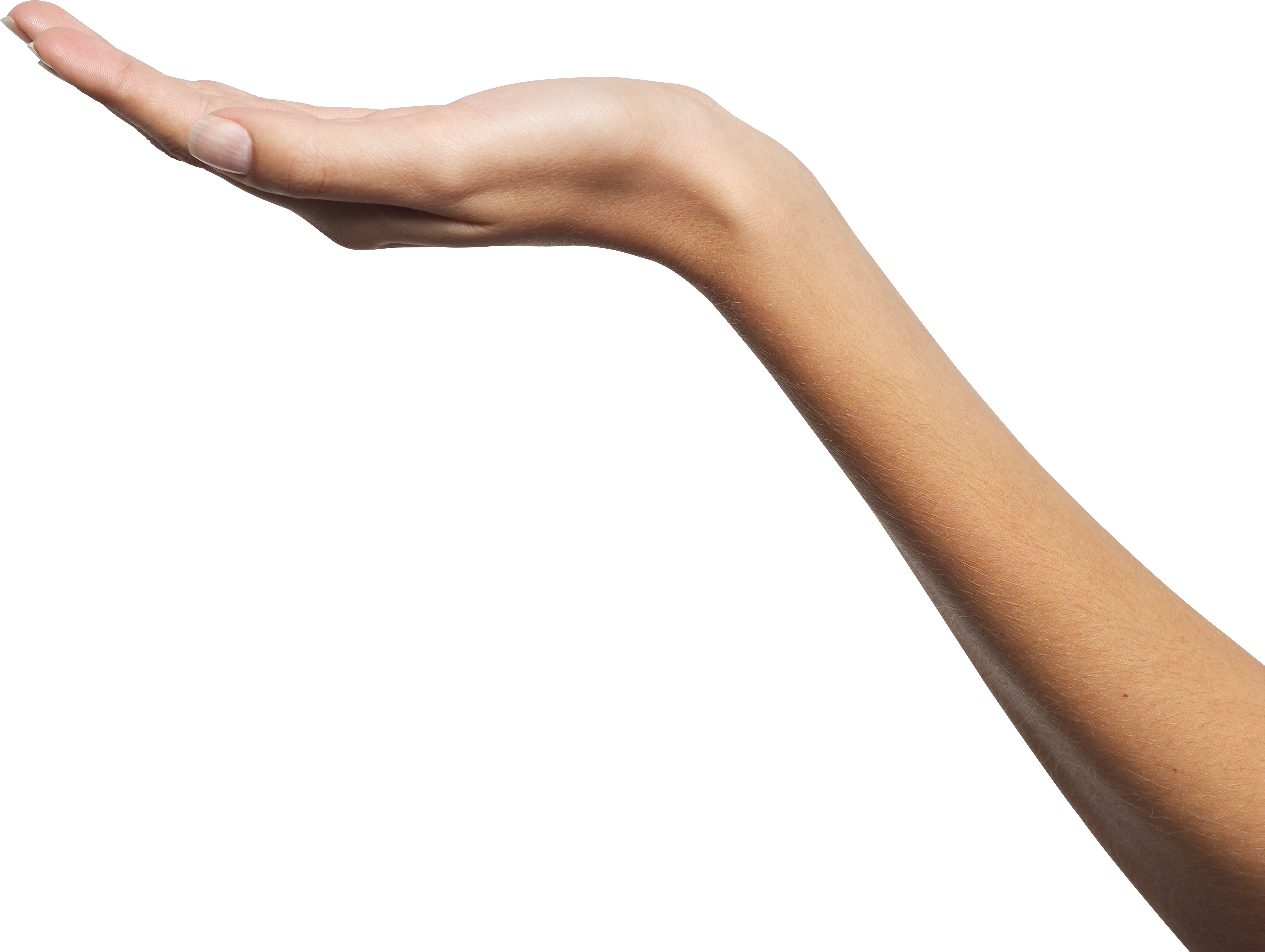 hand PNG, Hands PNG images, PNG image: hand PNG, free PNG image, Hands.