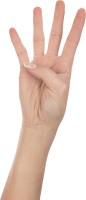 Four finger hand, hands PNG, hand image free