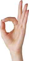 hand ok PNG