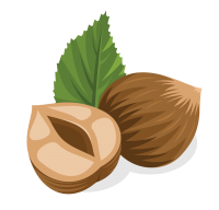 лесной орех, фундук PNG