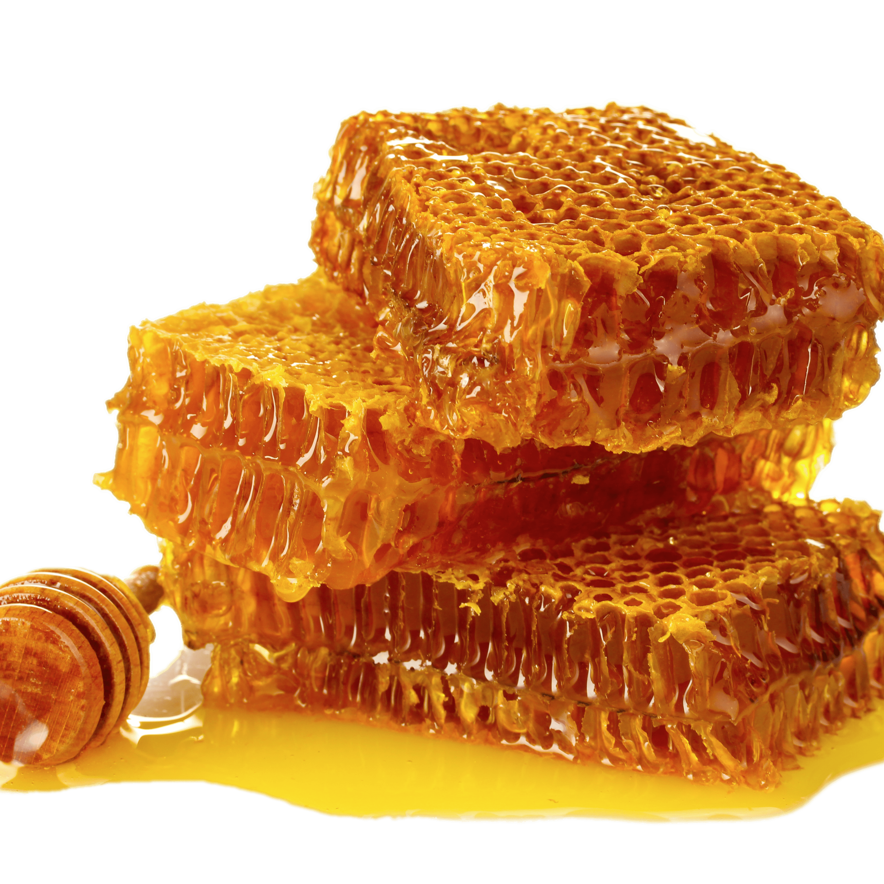 Honey l. Мёд в сотах. Соты пчелиные. Медовые соты. Пчелиные соты с медом.