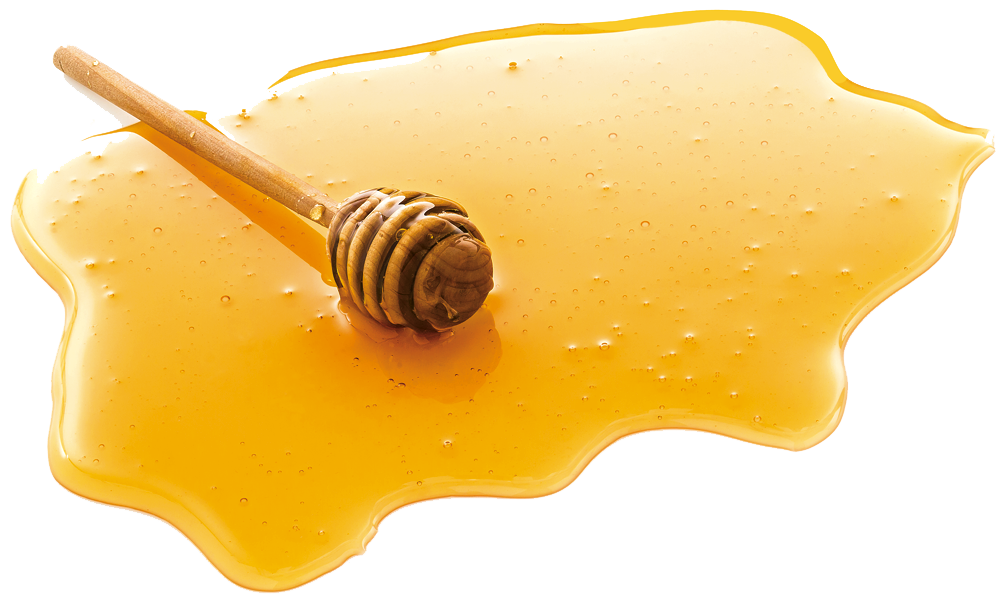 Honey PNG