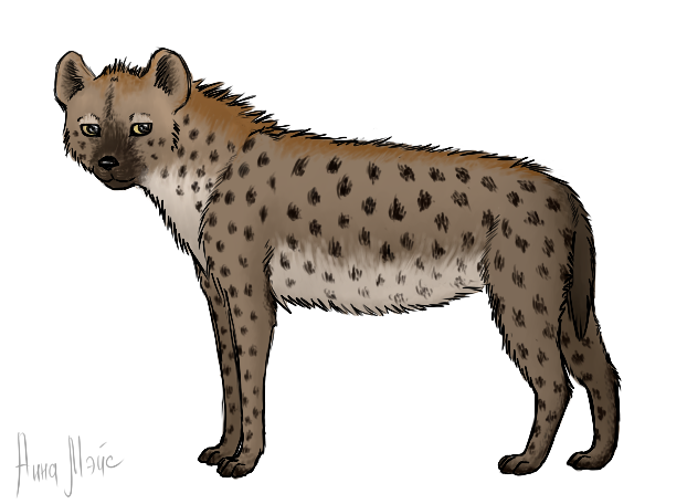 Hyena PNG