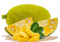 Jackfruit PNG picture
