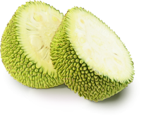 Jackfruit cut PNG