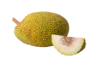 Jackfruit PNG