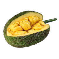 Jackfruit PNG image
