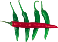 Jalapeños PNG picture