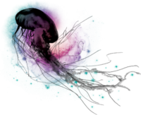 Медуза PNG