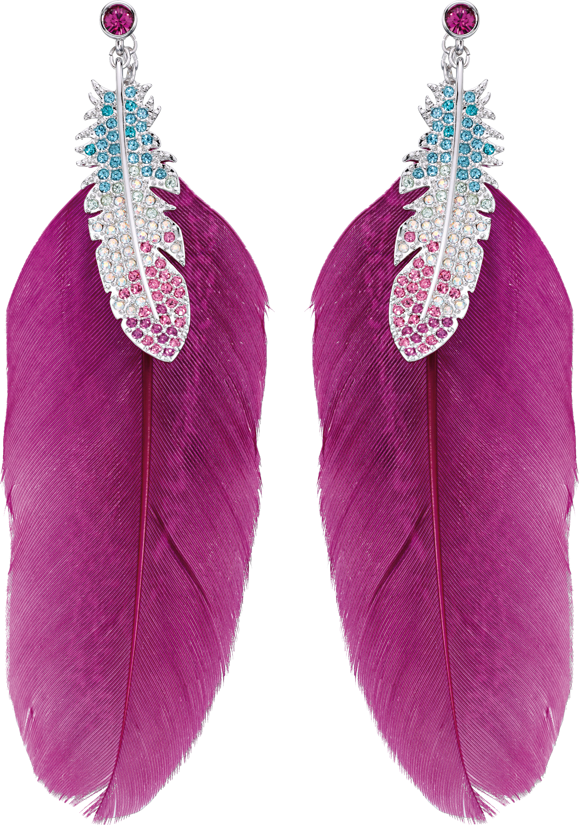 feather earrings PNG image