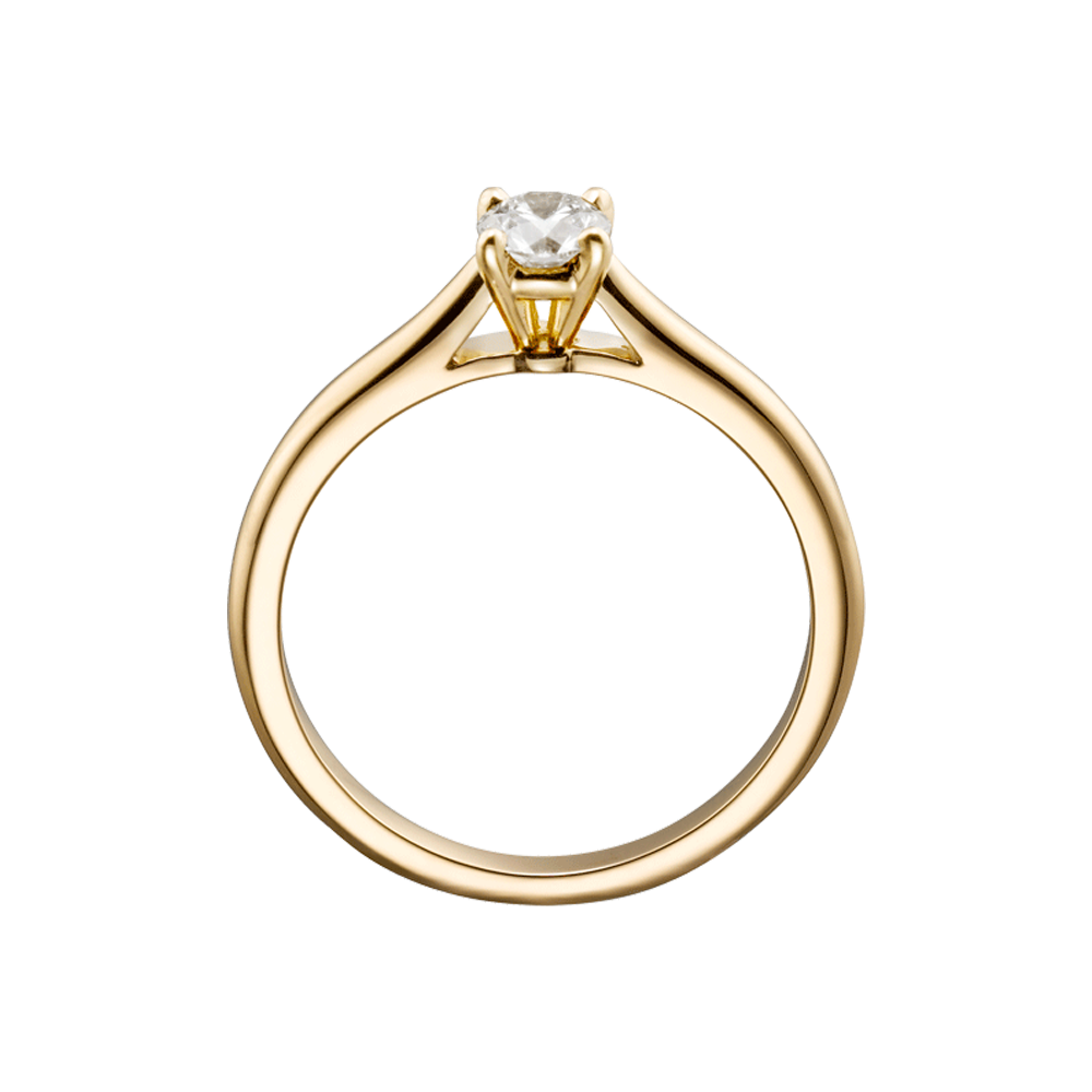 Золотое кольцо PNG фото