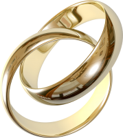 Wedding golden rings PNG image