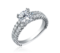 Серебряное кольцо PNG фото
